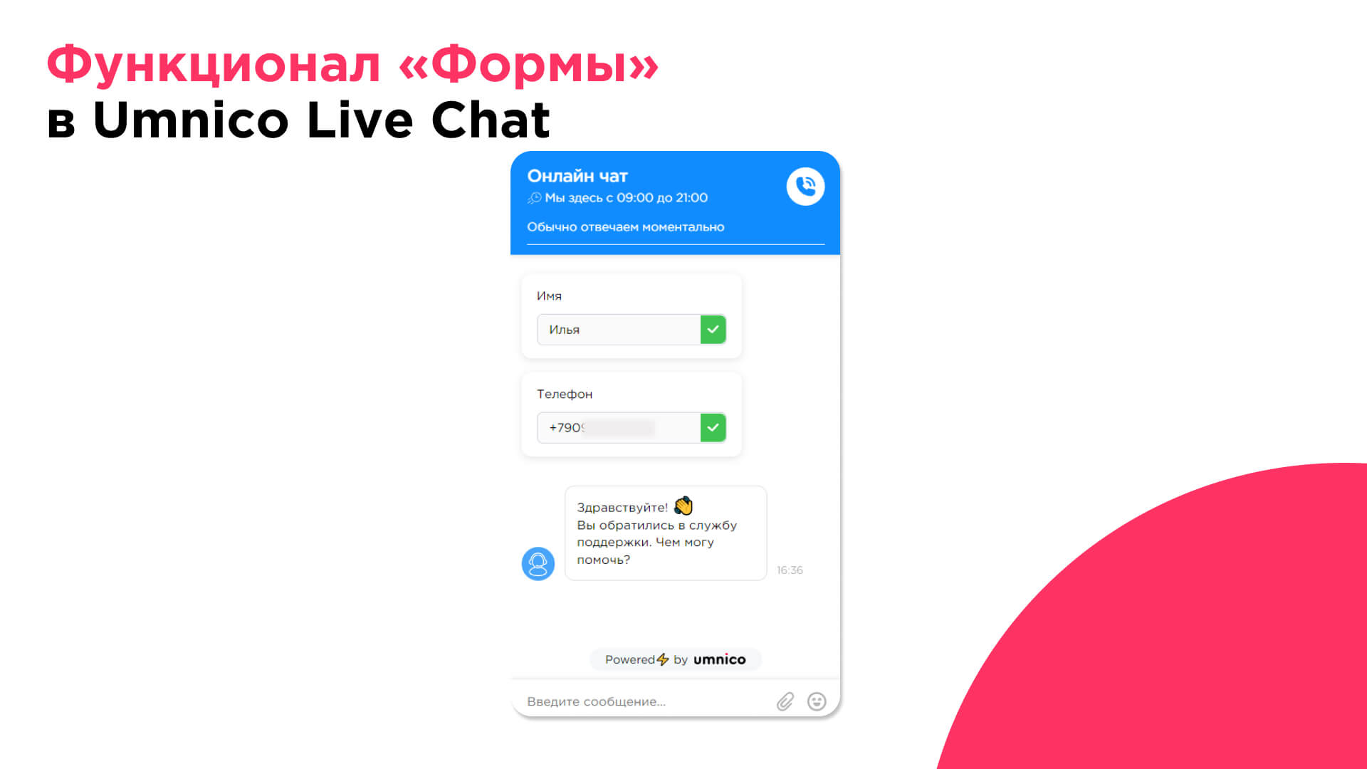 Lead Form in Umnico Live Chat